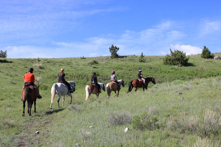 Blue Flower Trail Ride - Photo 1 of 14